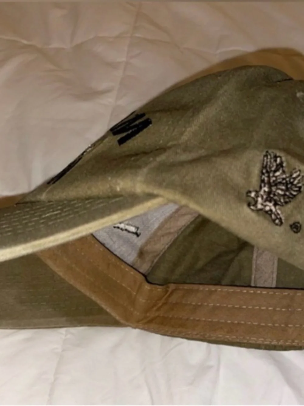 Unknown classic olive